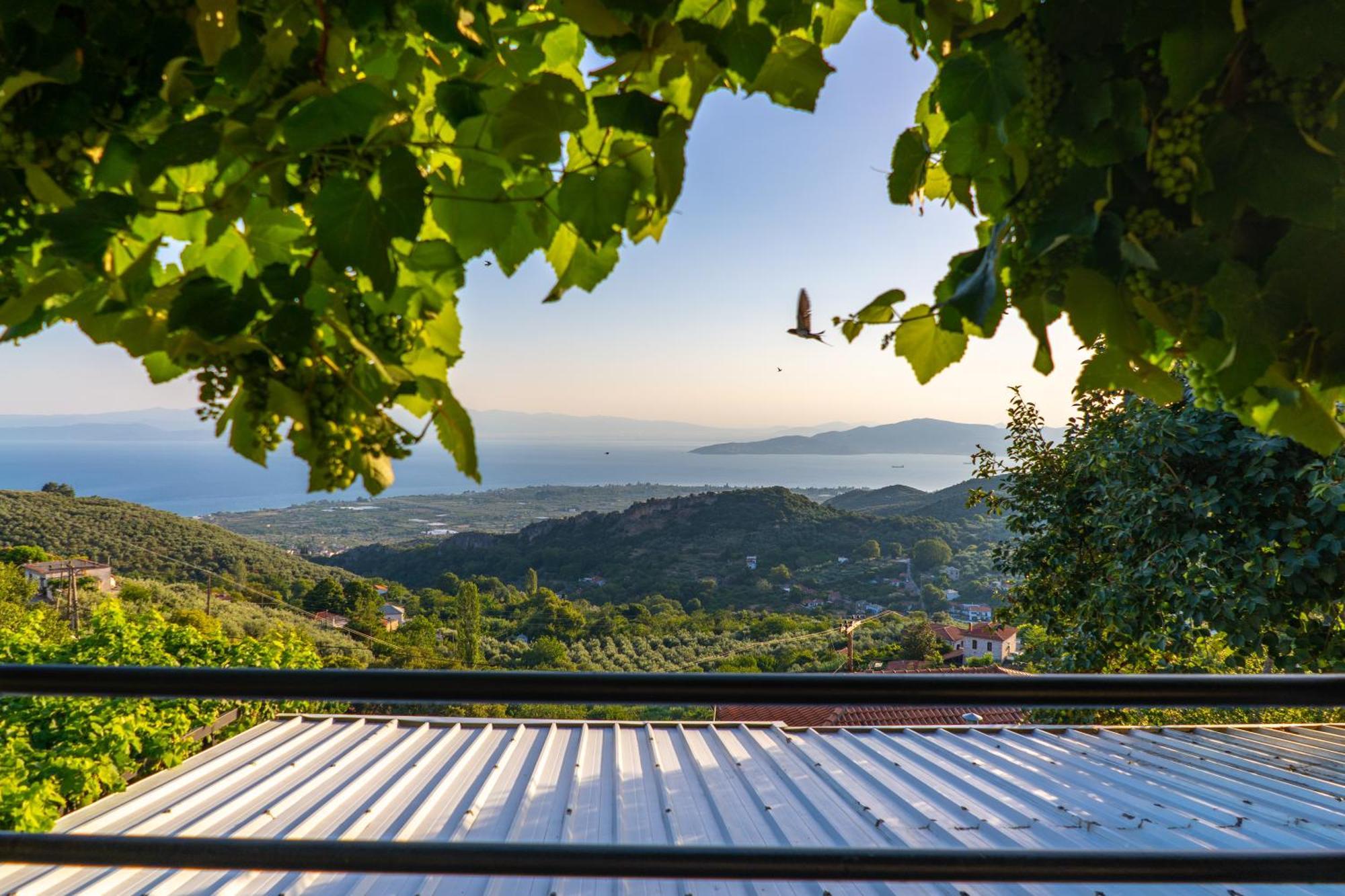 Villa Mirabilia Mountain With A Sea View *